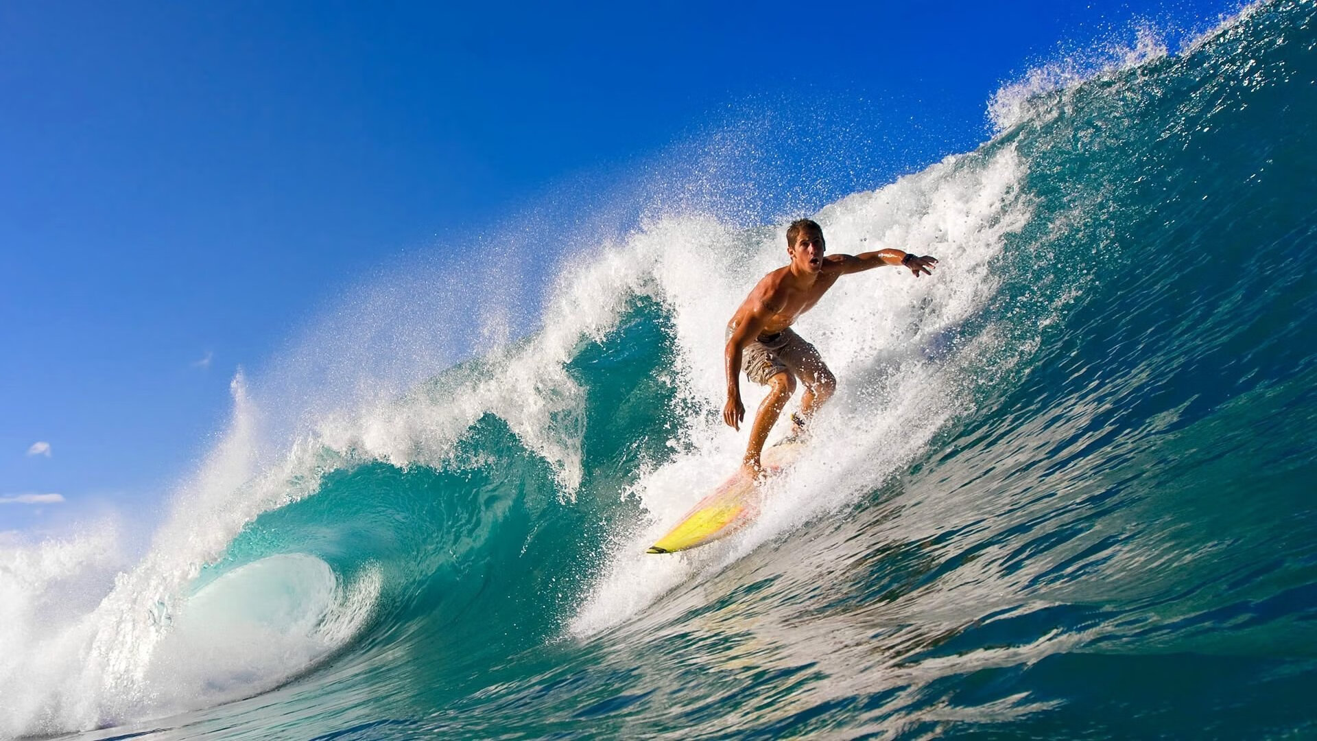 《电竞迷的梦想：打造属于自己的专属电竞基地》，电竞1∨1hh